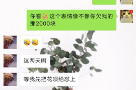 黑河专业催债公司的市场需求和前景分析